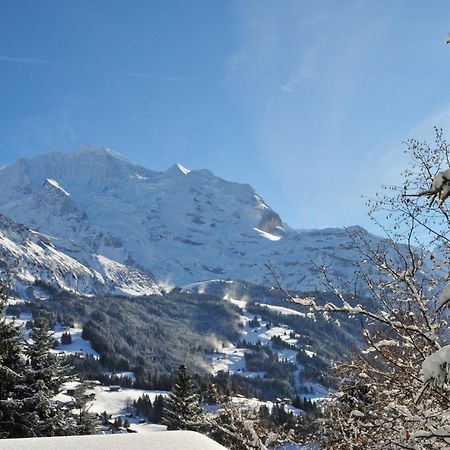 Apartment Primula By Interhome Wengen Kültér fotó
