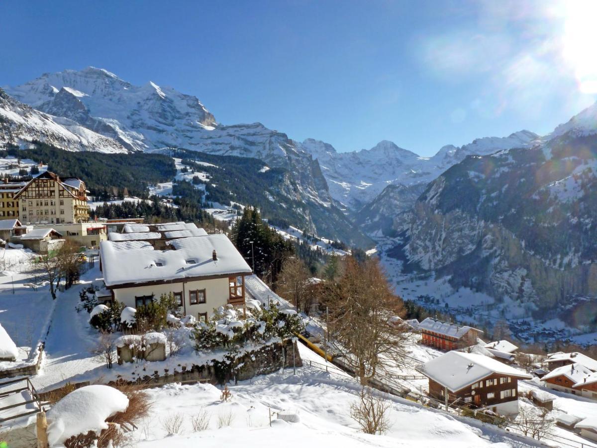 Apartment Primula By Interhome Wengen Kültér fotó