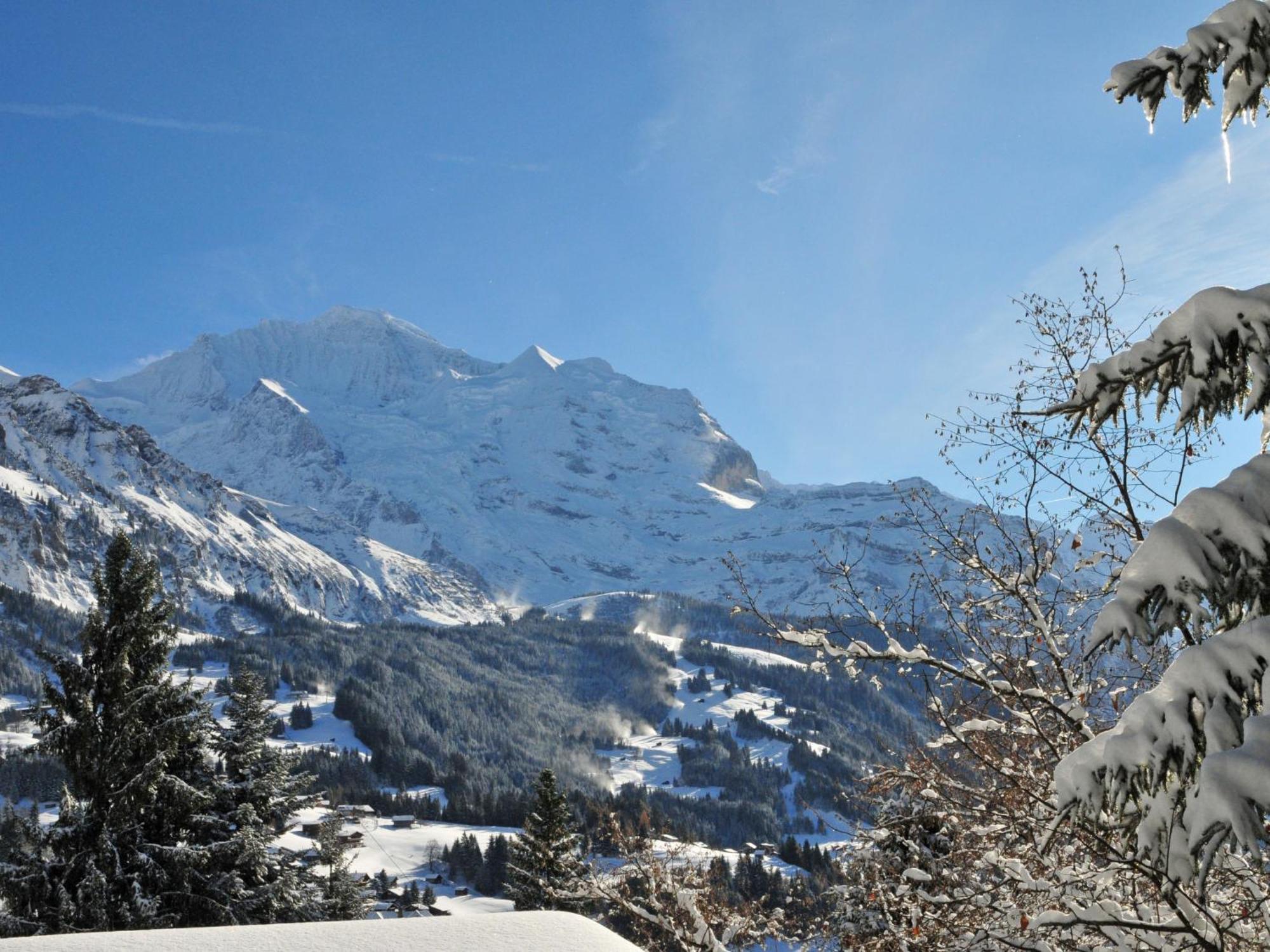 Apartment Primula By Interhome Wengen Kültér fotó